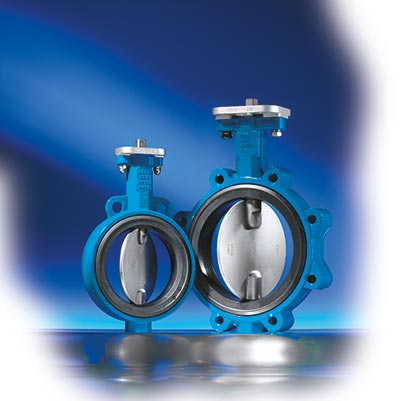 butterfly valve
